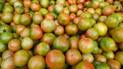 Red and green tomatoes in the marketplace