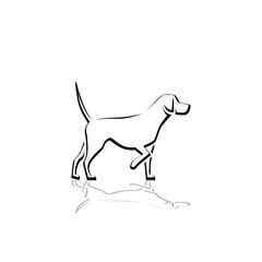 A dog as a pet. Illustration of a dog as a pet on a white background