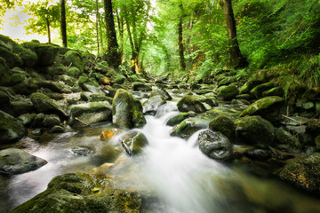 Wildbach im  Schwarzwald mit Steinen