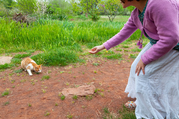 Fillette donnant à manger ou voulant approcher un chat roux.