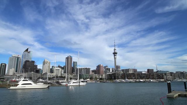 Auckland CBD seen from the port