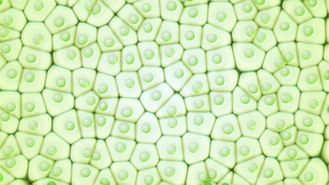 Chloroplast eukaryotic cell. Seamless animation under the microscope. Green microscopic formation in a plant cell. Research and genetic engineering. Biology and science concept. GMO DNA loop video. 4K