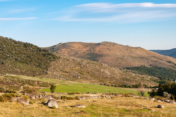 France; Lozère. Paysage aride et montagneux près de Pont de Montvert.
