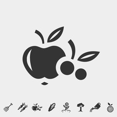 apple and berries icon vector illustration and symbol foir website and graphic design