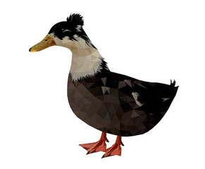 Low poly triangular duck on white background, vector illustration isolated.  Polygonal style trendy modern logo design. Suitable for printing on a t-shirt.