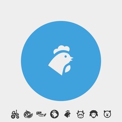 chicken icon vector illustration and symbol foir website and graphic design