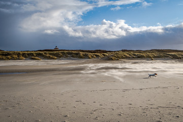 abendlicher Strandsparziergang