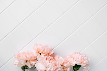 pink flowers on a white background. Mock up empty copy space. Flat lay, top view of flower arrangement.