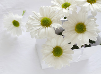 White daisies with green centres in a gift bag with space for text