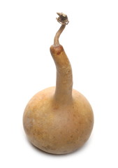 Calabash gourd isolated on white background
