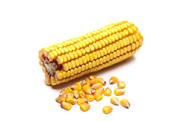 Corncob half with kernels isolated on white background