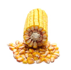 Corncob half with kernels isolated on white background