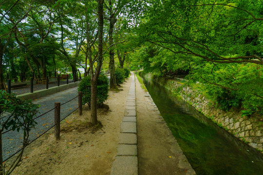 Philosophers Path (Tetsugaku No Michi), In Kyoto