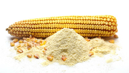 Corncob with kernels and corn flour isolated on white background