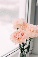 pink carnation flowers in a vase on a light background