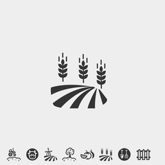 wheat farm icon vector illustration and symbol foir website and graphic design