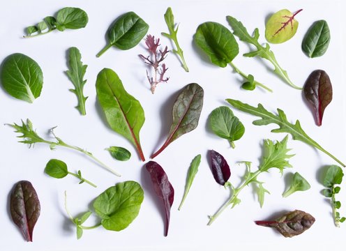 collection of fresh green salad mix leaves on white background