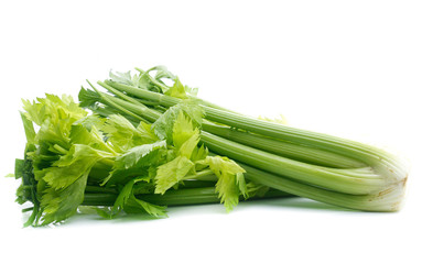 fresh celery isolated on white background