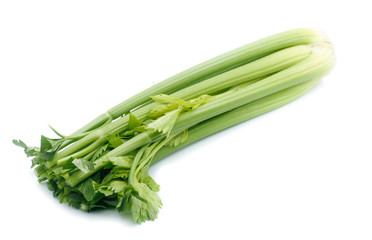 fresh celery isolated on white background