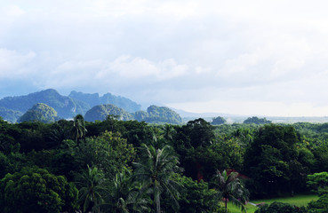 Mountain range and forest landscape in Thailand.