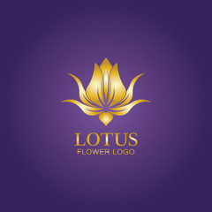 Golden lotus flower logo. Vector design template of lotus icon on dark background with golden effect for eco, beauty, spa, yoga, medical companies.