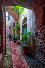 View of a narrow street in a medieval village in Italy, The entrance doors to the houses are really decorated with flower boxes with beautiful green plants in them.