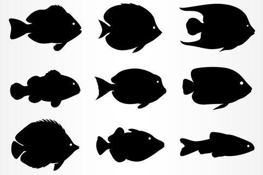 A set of nine different fish icons. Marine and aquarium fish.