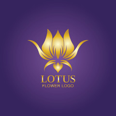 Golden lotus flower logo. Vector design template of lotus icon on dark background with golden effect for eco, beauty, spa, yoga, medical companies.