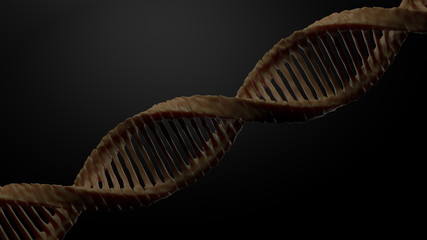 DNA 