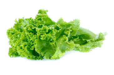 Lettuce isolated on white background