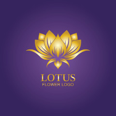 Golden lotus flower logo. Vector design template of lotus icon on dark background with golden effect for eco, beauty, spa, yoga, medical companies.