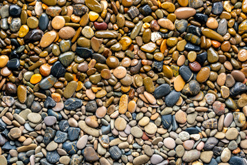 Wet and dry sea pebble texture as background