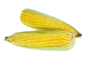An ear of corn isolated on a white background