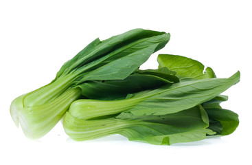 Chinese Vegetable cabbage on white background