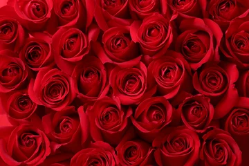  赤い薔薇の背景素材 © taa22