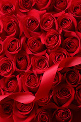 赤い薔薇の背景素材