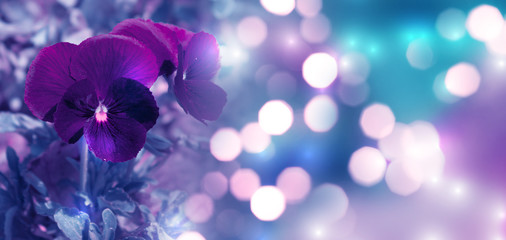 Spring floral background in ultraviolet neon glow. Flower bud close-up with blurry bokeh. Copy space for text.