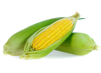 Corn on white background