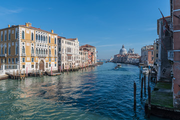 Accademia Bridge, Grand Canal and Salute Church. Venice. Italy