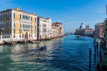 Accademia Bridge, Grand Canal and Salute Church. Venice. Italy