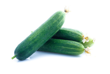 Cucumber  isolated on white background