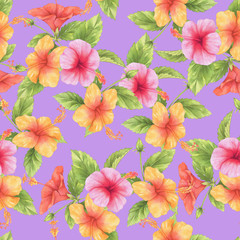 Seamless pattern with red, pink, yellow hibiscus flower and leaves watercolor on purple background.  Hand drawn floral illustration.