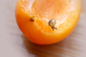A small snail crawls over a cut apricot