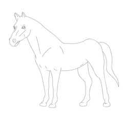 Naklejka na ściany i meble shilhouette horse vector ilustration black and white colour design isolated on white background Wild animal Vector card with hand drawn Ink drawing, minimalism, line art