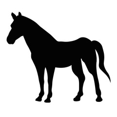 shilhouette horse vector illustration black colour design isolated on white background Wild animal Vector card with hand drawn Ink drawing, minimalism icon