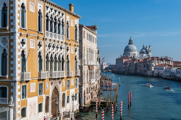 Accademia Bridge, Grand Canal and Salute Church. Venice. Italy