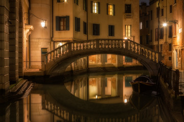 Houses along the canal and the bridge in Venice in night