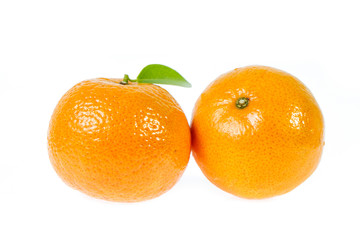 orang isolated on white