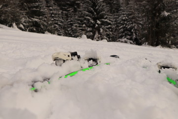 Black and green ski dives in snow on peak of mountain in Beskydy, czech republic, europe. New famous equipment for every active human.