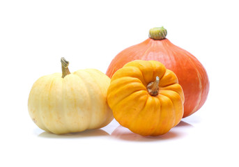Pumpkin isolated on white background